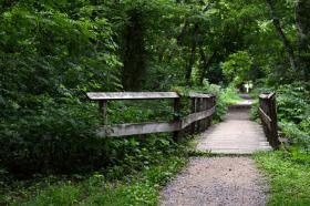 Footbridges over Tributaries to the Maury