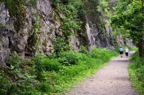 Limestone Formations