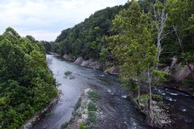 Maury River from Rt. 11 Bridge