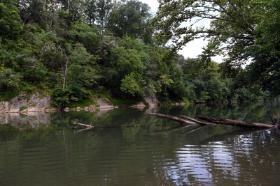 Still Water Upstream from Mill Creek