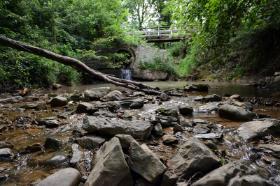 Tributary Flowing toward the Maury