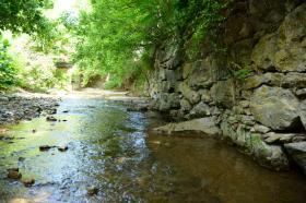 Woods Creek at Jordan's Point