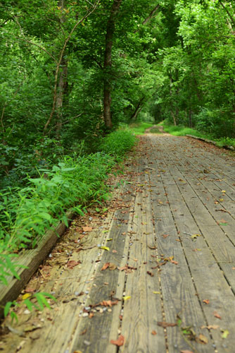 Wooden Footbridge over Warm Run