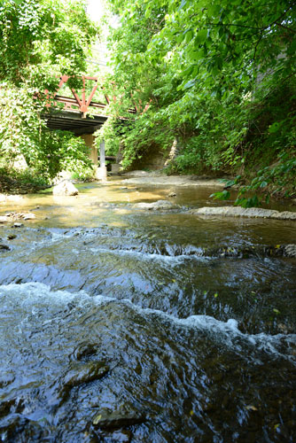 Woods Creek at Jordan's Point