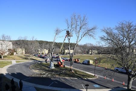 The large tree in front of Smith Hall was recently removed.