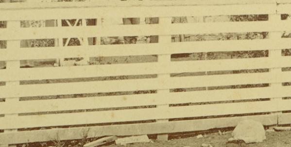 1880 photograph close-up of fencing