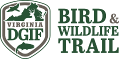 Graphic of the Virginia Bird and Wildlife Trail Logo from the Department of Game and Inland Fisheries