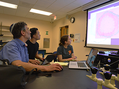 Dr. Aryeh Weiss. Anthony Tran '17, and Lt. Col. Anne Alerding look at an image of a soybean stem.