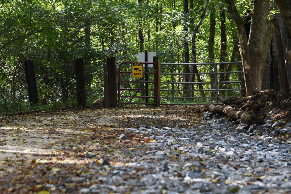 A view of the Chessie Trail