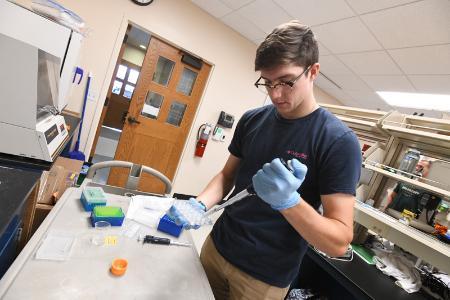 VMI cadet, Noah Campbell ’24 works in the biology lab for his Summer Undergraduate Research Institute (SURI) project. -VMI Photo by Kelly Nye.