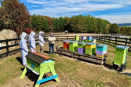 Members of the Building BRIDGES club learn about beekeeping.