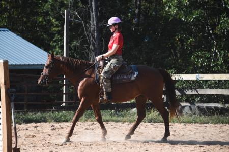 Students with horses in Lexington, part of the VMI Equestrian Club.