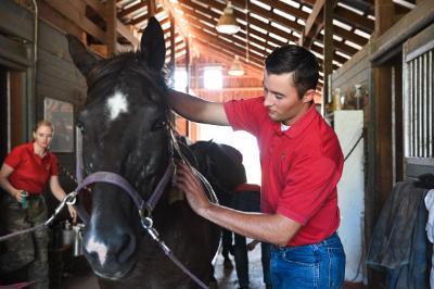 Students with horses in Lexington, part of the VMI Equestrian Club.