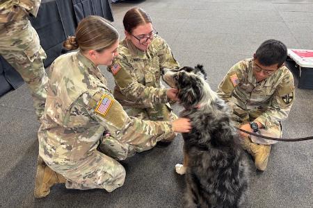 Cadets interact with Ripley, a 12-year-old Australian Shepherd therapy dog, during Stress Busters in Cocke Hall Dec. 12.
