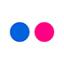 Branded Flickr icon