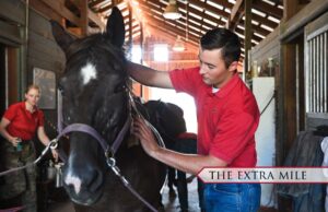 Cadet David Hess ’24 grooming a horse in the stables.