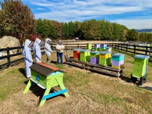Cadets in the Building BRIDGES club visited Bels Bees on Saturday, Oct. 23 to learn about the Hives for Heroes project which teaches vets about honey making and beehives.